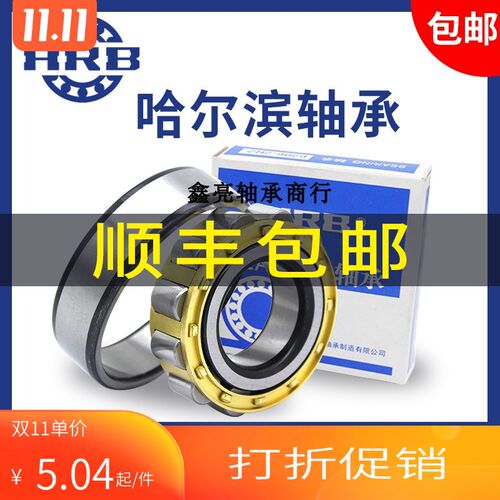 HRB哈尔滨减速机偏心轴承RN205 206 307 309 312 219 222E 228M