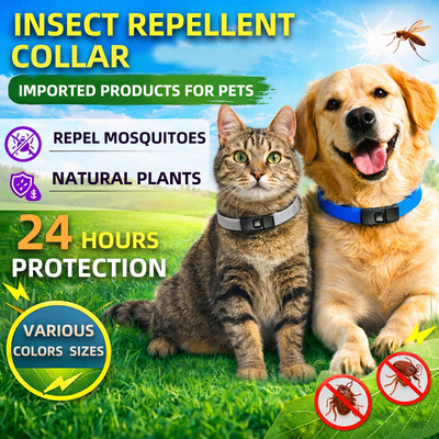 dog, a cat, an insect repellent collar, a pet flea and tick