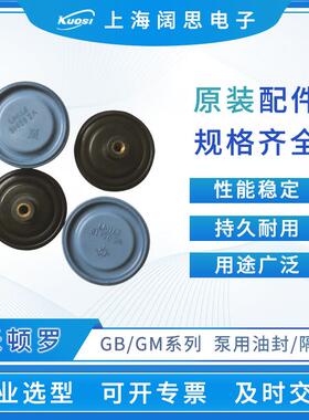 LMI计量泵配件GM/GB计量泵油封单向阀拍前咨询客服精密