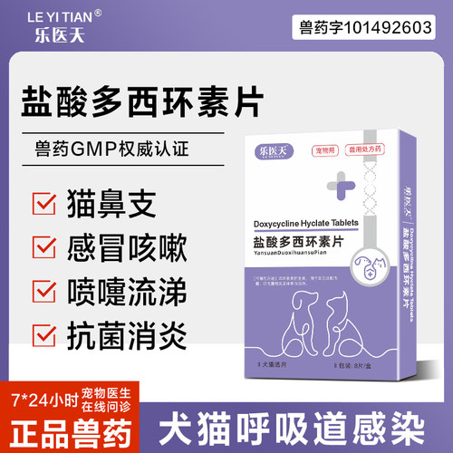 宠物消炎鼻支感冒治疗药