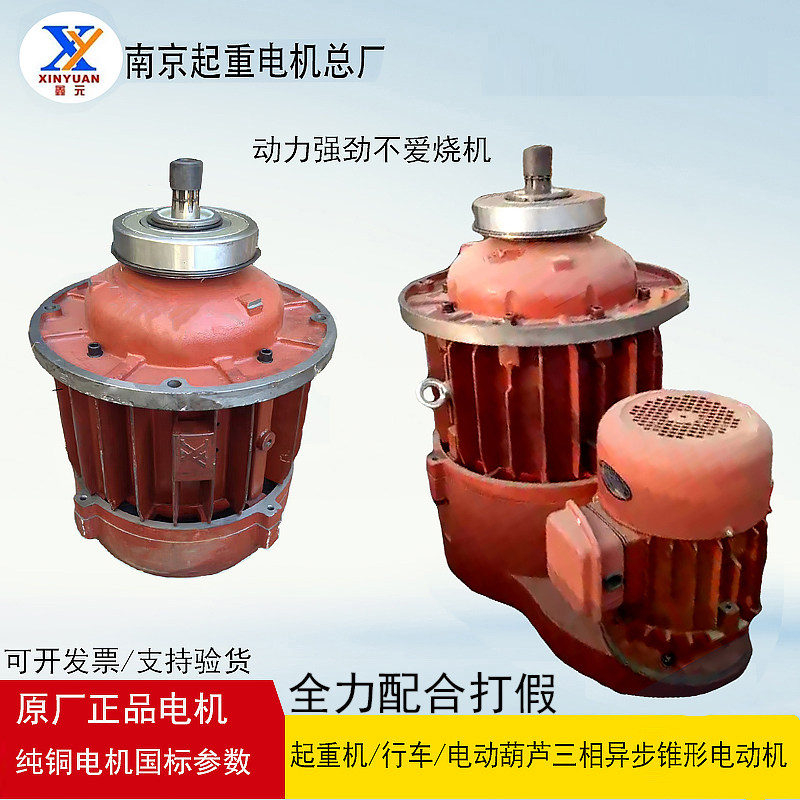 南京特种总厂江陵力思力博特23 5 10T吨天车电动葫芦起升锥形电机