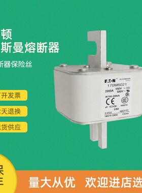 全新快速熔断器保险170M6021 170M6028 170M6029 170M6035