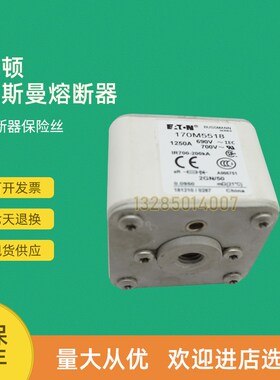 全新快速熔断器保险170M5516 170M5517 170M5518 170M5531