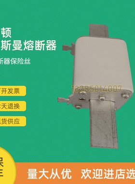 全新快速熔断器保险170M5808D 170M5809 170M5809D 170M5810