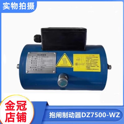 广州/惠州富士/东莞富士DZ7500-WZ抱闸制动器DC200DC100V全新现货