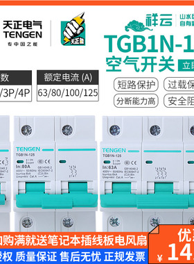 天正TGB1N-125小型断路器DZ47空气开关DZ158 1P/2P/3P/4P 80A100A