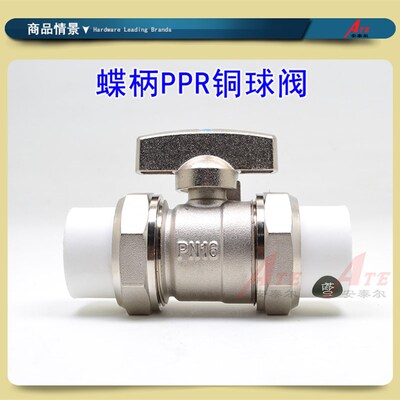 盾运全铜ppr球阀门暖气片温控阀截门节门水管管件双头两头PPR开关
