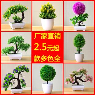 球仿真植物盆栽草球盆景小树家居装饰花摆件创意小圆球