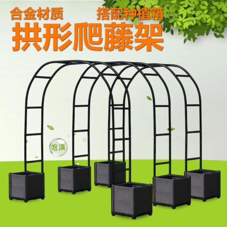 架子过道绿萝。藤蔓爬藤家用花草支架网架室内丝瓜铁线莲园艺攀爬