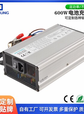 29.2V15A18A20A叉车堆高车牵引车车24V8串磷酸铁池充电器