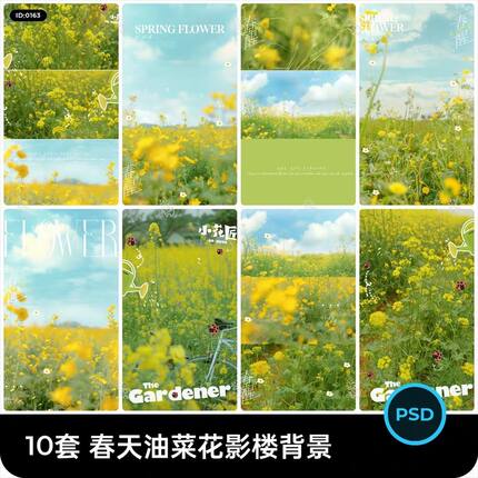 油菜花素材psd春天儿童摄影外景写真背景春日主题文字体装饰模版