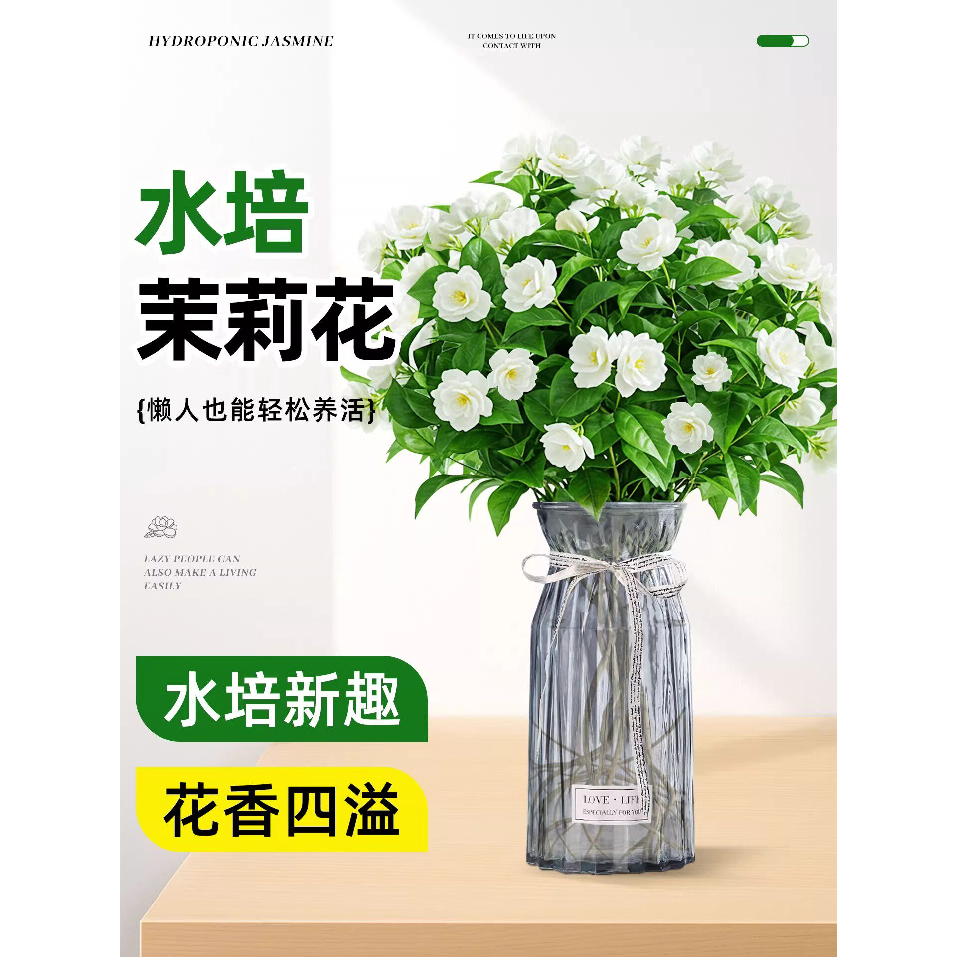水培茉莉花带苞卉绿植盆栽图片