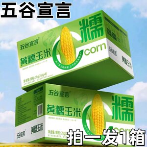 五谷宣言东北黄糯玉米8根装
