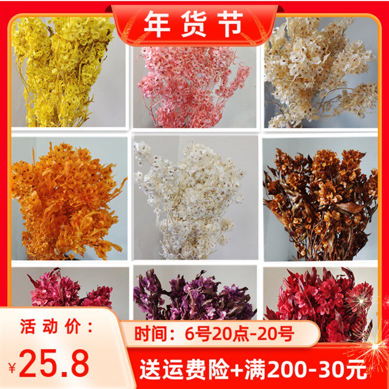 永生花迎客豆蝴蝶花装饰干花家居店铺民宿软装插花配花喜庆年花