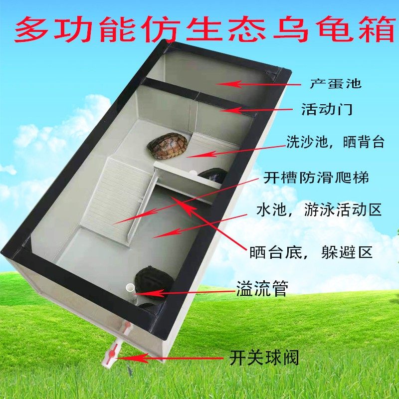 多功能仿生态新款pp板塑料黄白黑色独立式龟缸水族箱观赏乌龟箱