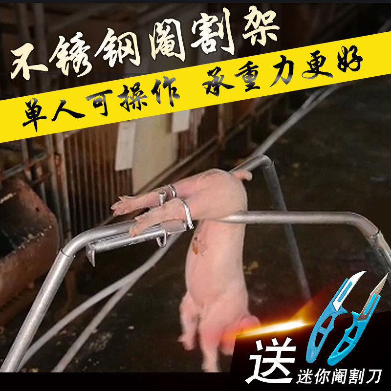 仔猪阉割架敲猪架阉猪刀阉割仔猪去势刀阉猪固定架阉猪架养猪设备