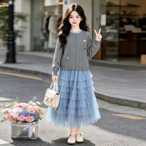 女童春秋蛋糕网纱连衣裙两件套