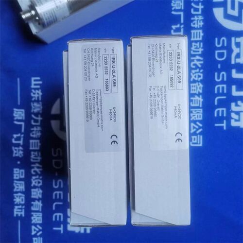 供应意大利ELSI热电偶F1.S60-P00-B0105-F00