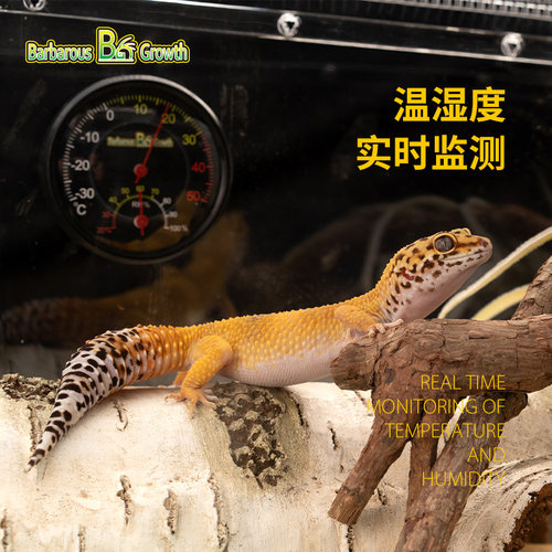 爬虫箱温湿度计饲养缸温度计守宫蜥蜴陆龟蛇角蛙雨林缸监测温度