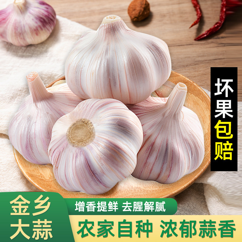 【顺丰速达】金乡大蒜新干蒜农家
