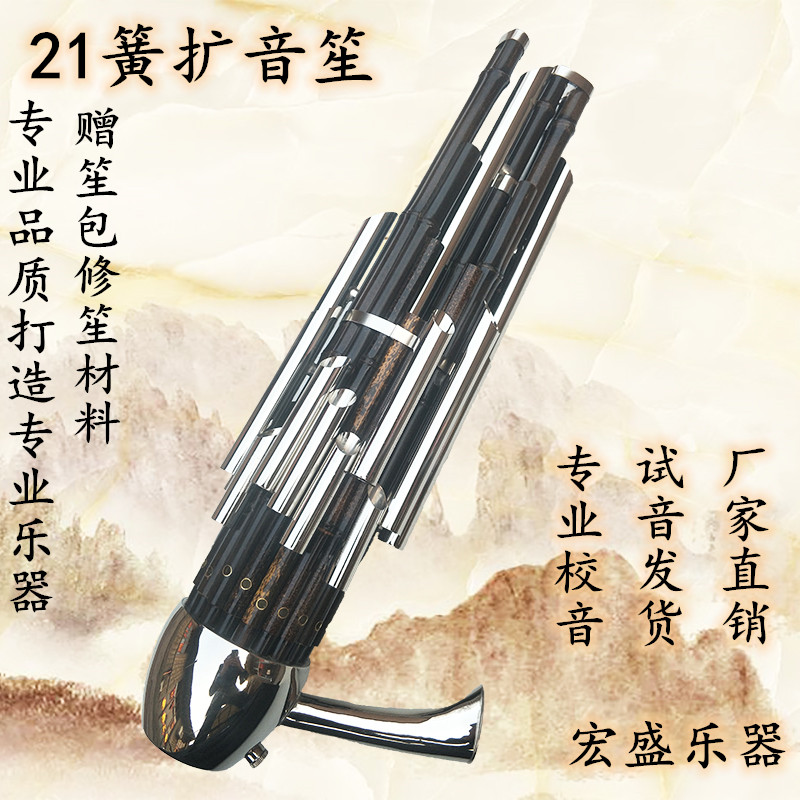 笙乐器21簧普及扩音笙大全专业演奏成人儿童初学入门大音量21苗笙
