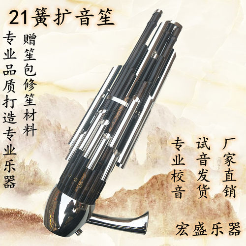 笙乐器21簧普及扩音笙大全专业演奏成人儿童初学入门大音量21苗笙