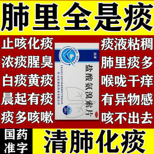 润津盐酸氨溴索片20片感冒咳嗽化痰药片痰液黏稠不易咳出者KK