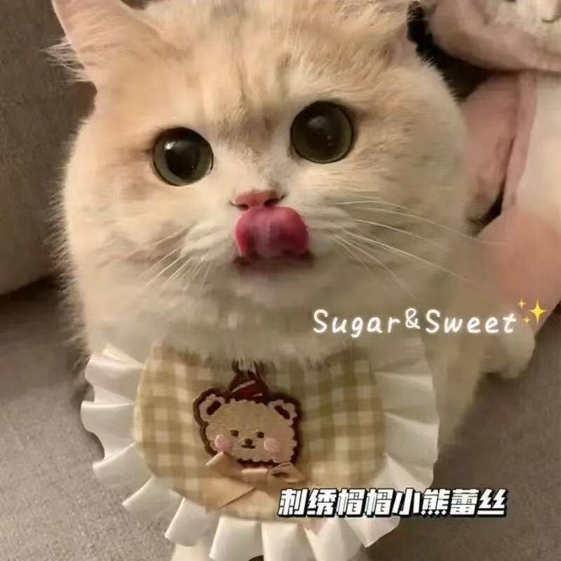 猫咪围脖口水巾狗狗宠物围巾围兜蝴蝶结装饰可爱围嘴饰品项圈蕾丝