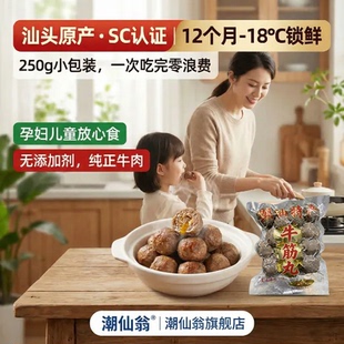 潮汕牛肉丸正宗汕头牛筋丸