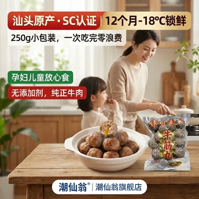 【百补】潮汕牛肉丸正宗汕头牛筋丸火锅麻辣烫牛丸潮州手打