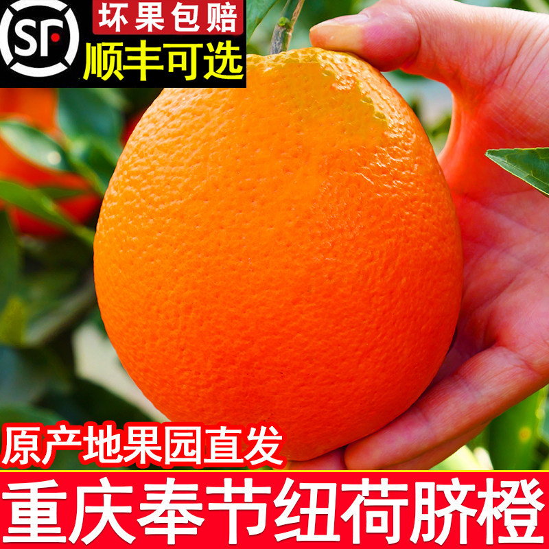 重庆奉节纽荷尔脐橙正宗10橙子大果当季新鲜水果整箱包邮产地直发