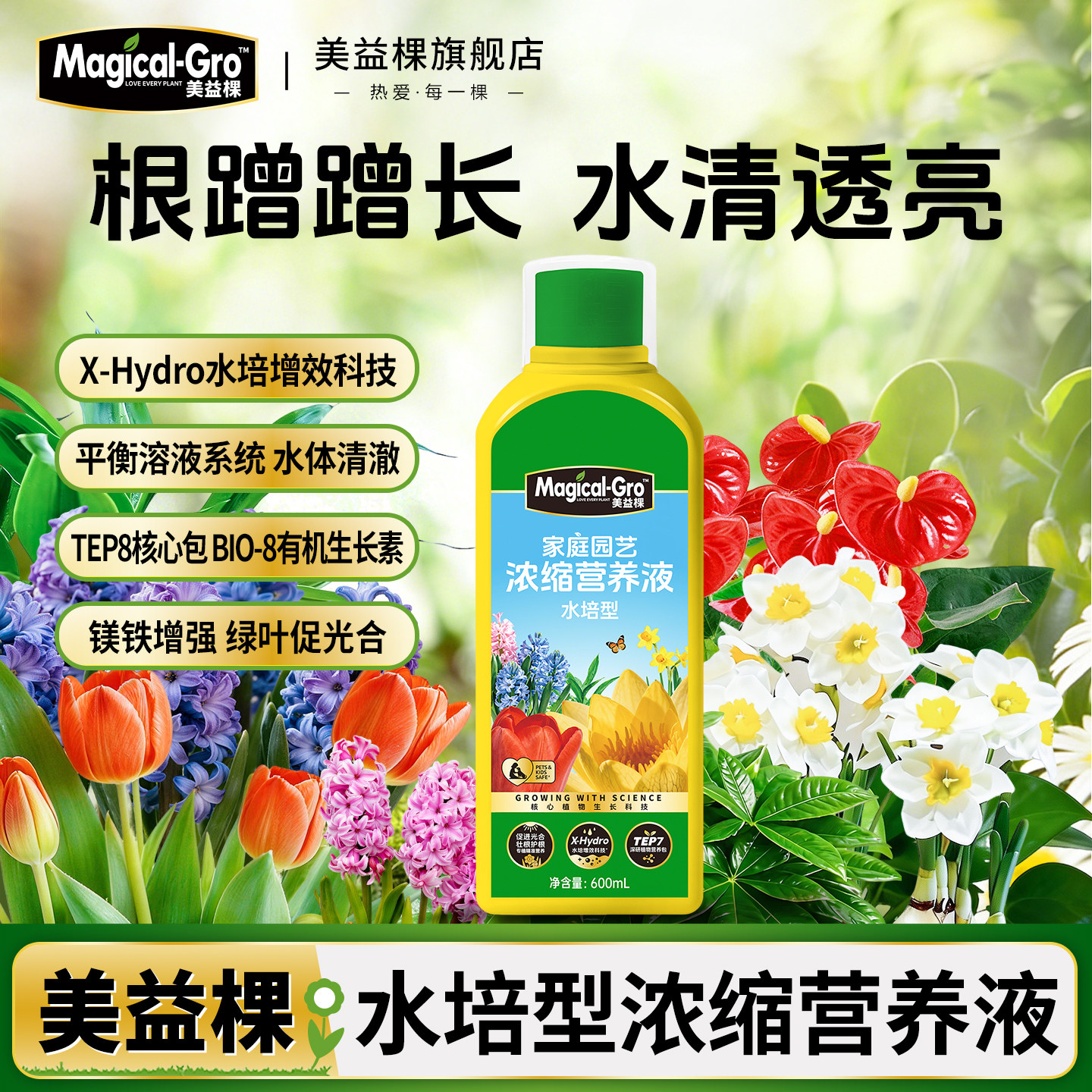 美益棵水培植物专用营养液富贵竹转运竹巴西木绿萝铜钱草通用肥料