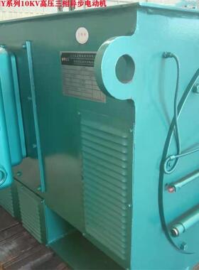 山东淄博厂家直供Y450-4L/250W-10VY系列高压三相异步电动机