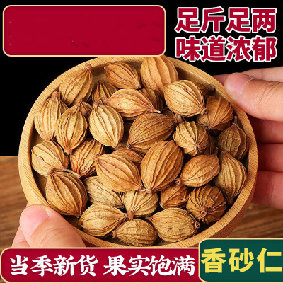 正宗川砂仁香砂仁大料香料调料炒菜煲汤火锅烧烤烹饪卤料去腥无硫