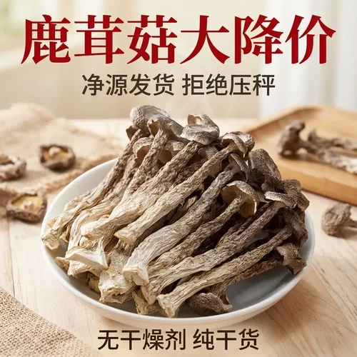 【无熏硫】古田特产鹿茸菇干货香脆爽口可凉拌炒肉煲汤香菇菌菇