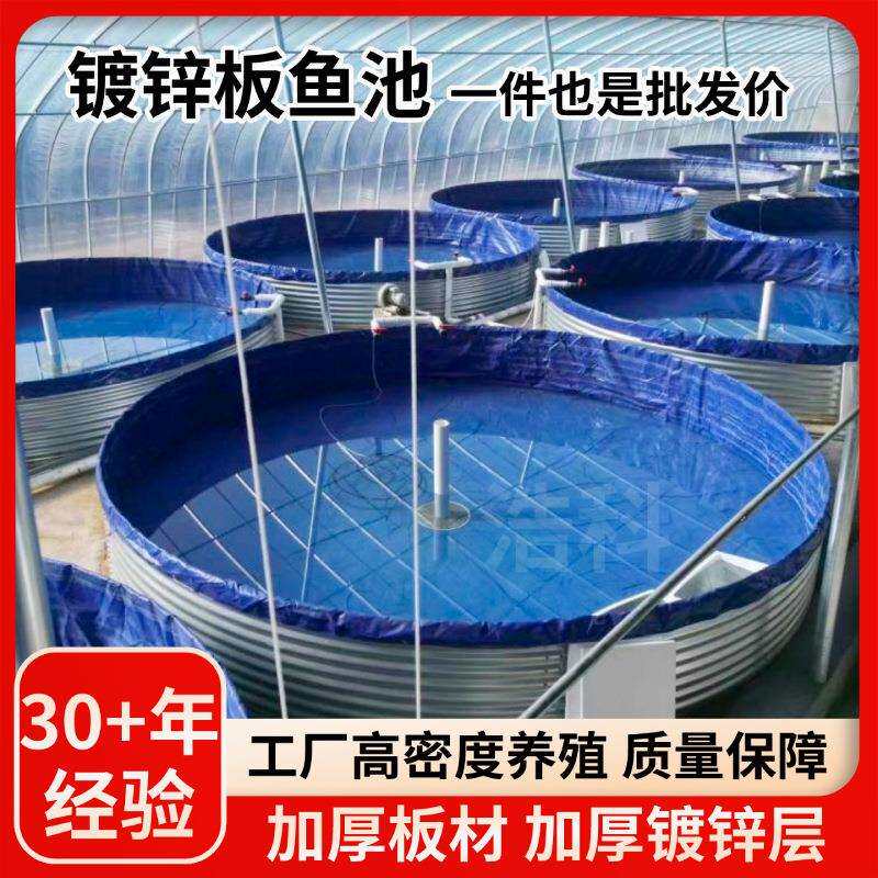 镀锌板鱼池大型户外帆布水池袋装渔场组装蓄水池高密度养鱼池