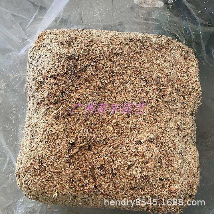 智利南部红草干水苔碎/干苔藓沫 食虫植物/爬虫//蓝莓 育苗移栽用
