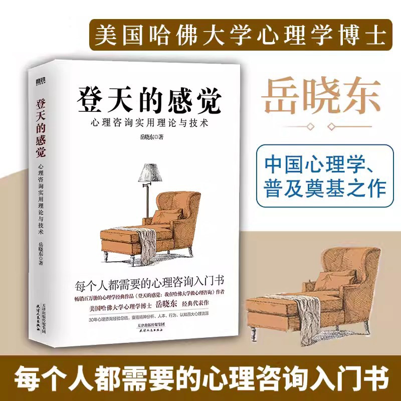 登天的感觉 心理咨询实用理论与技术 岳晓东40年心理咨询经验总结 心理咨询入门书籍正版 精神分析人本行为认知 做自己的心理医生