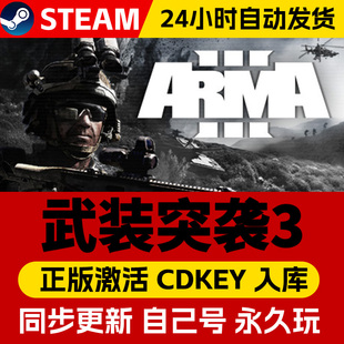 正版Steam武装突袭3激活码CDKEY全DLC国区 全球区Arma 3中文PC