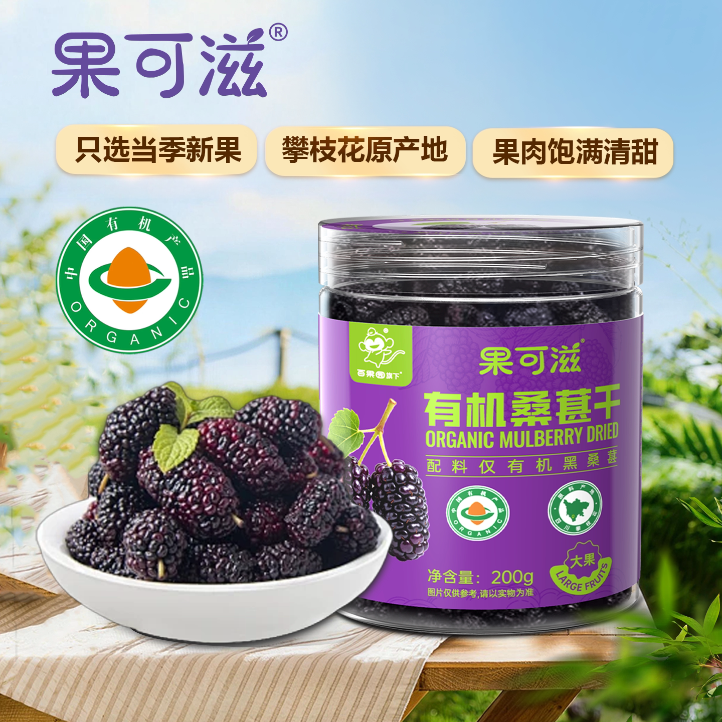 【专享】果可滋有机桑葚干200g/罐精选大果无沙黑桑葚干即食泡水