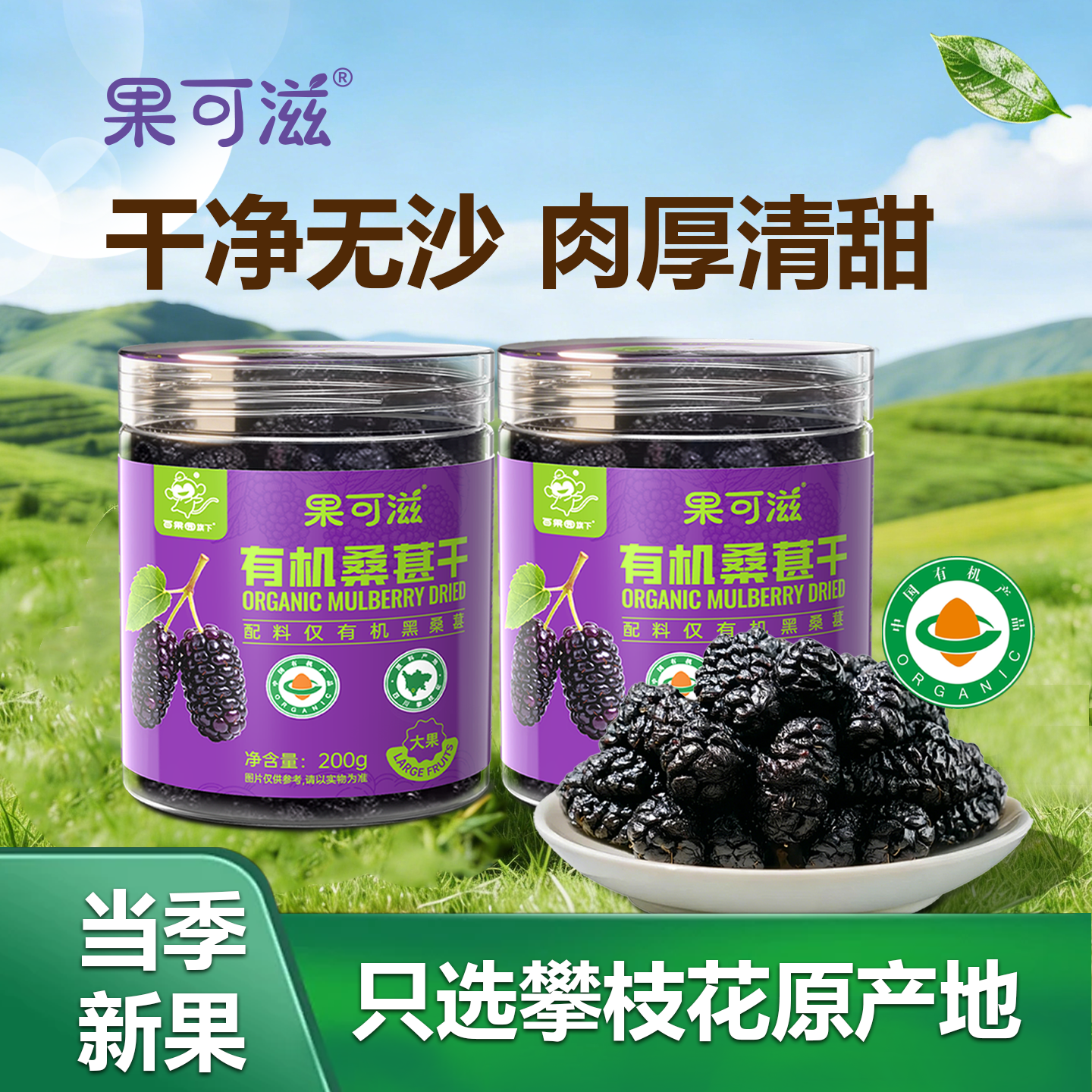【专享】果可滋有机桑葚干200g*2罐精选大果无沙免洗黑桑葚干即食