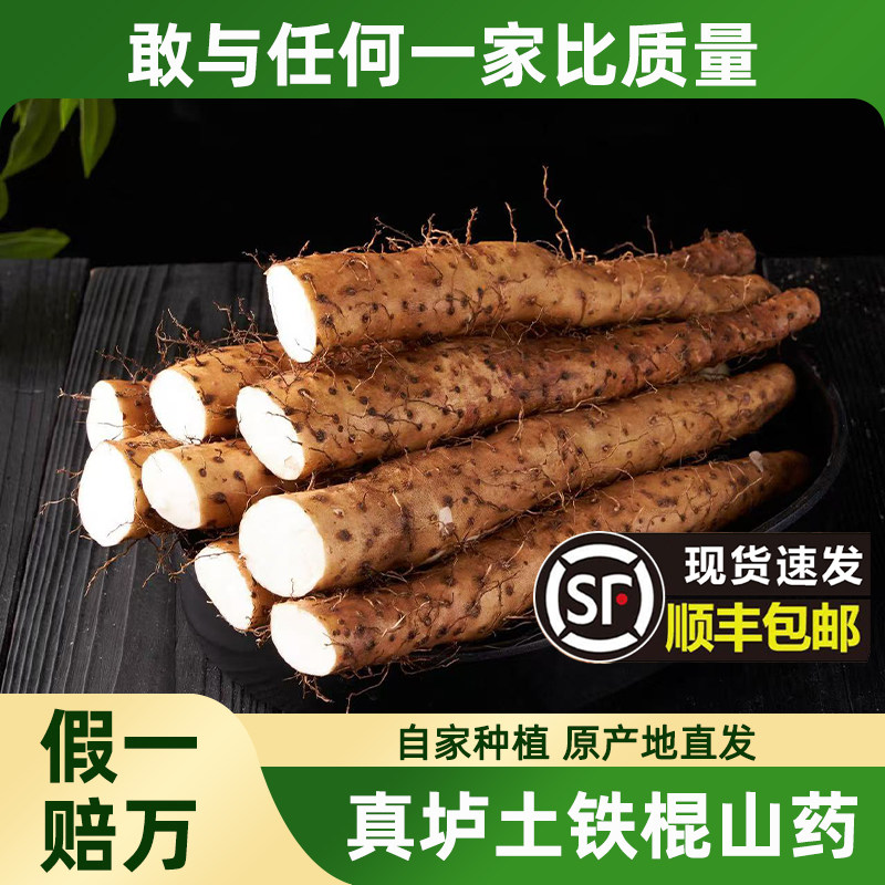 新鲜采挖焦作温县铁棍山药5斤装