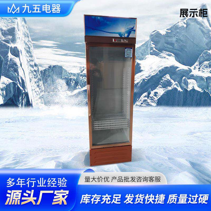 冷藏展示柜风冷饮料柜立式冰柜冷饮冰箱超市酒水保鲜柜无霜冷柜