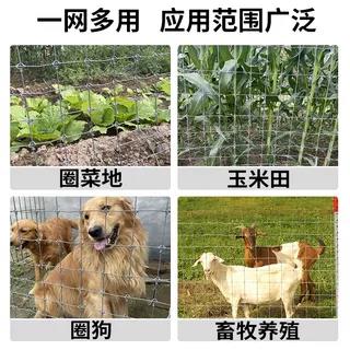 镀锌铁丝网围栏栅栏户外养殖防护钢丝网拦牛羊圈果园鱼塘铁网格网