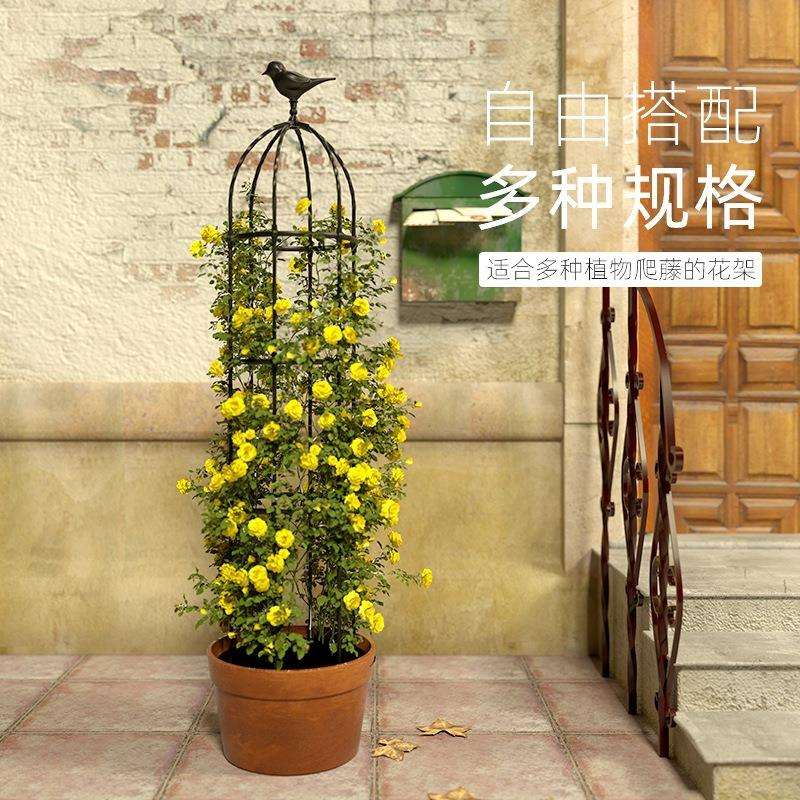 月季花架爬藤架蔷薇阳台架子花盆植物藤架花园花柱园艺攀爬花支架图片