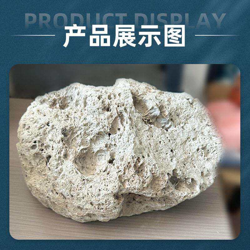 轻石浮石养花土壤种植专用多肉兰花铺面垫底水族滤材浮石