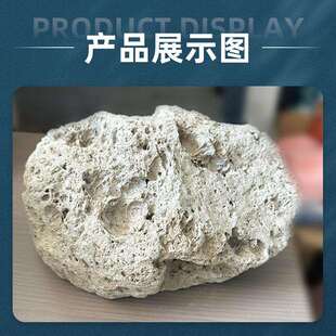 轻石浮石养花土壤种植专用多肉兰花铺面垫底水族滤材浮石