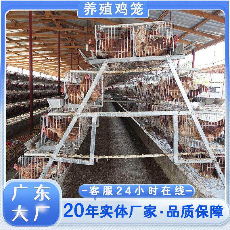 出口广东鸡笼厂家跨境鸡舍食槽架外贸公司蛋鸡笼鸡笼子鸽子笼热销