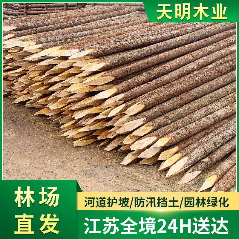 杉木原木桩户外河道驳岸实木打桩木堤坝防汛木桩落叶松圆木桩