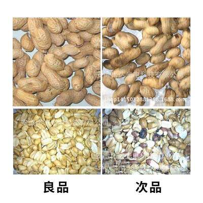 比达BDM3-192小型杂粮色选机精选机花生玉米大米筛选分选机全自动